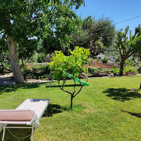 Il Giardino Apartment Barano dʼIschia Exterior foto