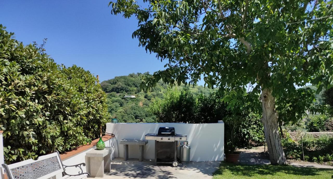 Il Giardino Apartment Barano dʼIschia Exterior foto